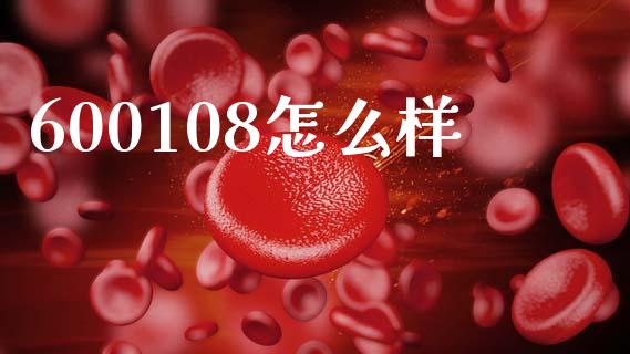 600108怎么样_https://www.gongyisiwang.com_期货公司手续费排名_第1张
