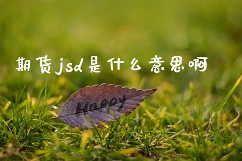 期货jsd是什么意思啊_https://www.gongyisiwang.com_股指期货_第1张