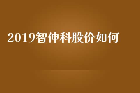2019智伸科股价如何_https://www.gongyisiwang.com_恒指期货_第1张