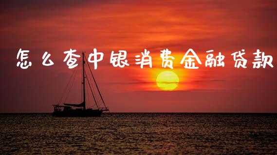 怎么查中银消费金融贷款_https://www.gongyisiwang.com_广发期货手续费_第1张