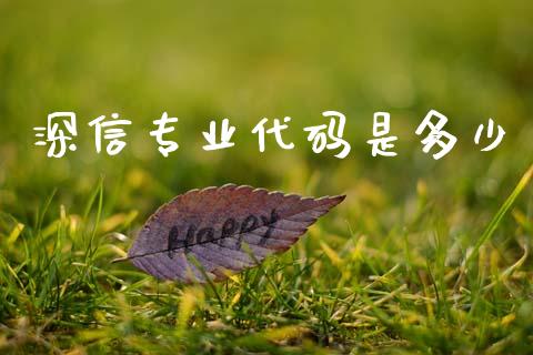 深信专业代码是多少_https://www.gongyisiwang.com_焦炭期货手续费_第1张