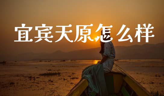 宜宾天原怎么样_https://www.gongyisiwang.com_期货公司手续费排名_第1张