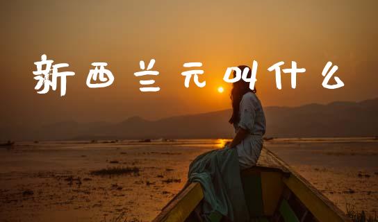 新西兰元叫什么_https://www.gongyisiwang.com_期货公司手续费排名_第1张