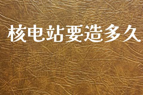 核电站要造多久_https://www.gongyisiwang.com_恒指期货_第1张