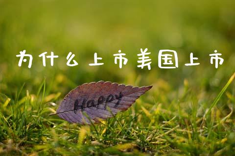 为什么上市美国上市_https://www.gongyisiwang.com_原油期货_第1张