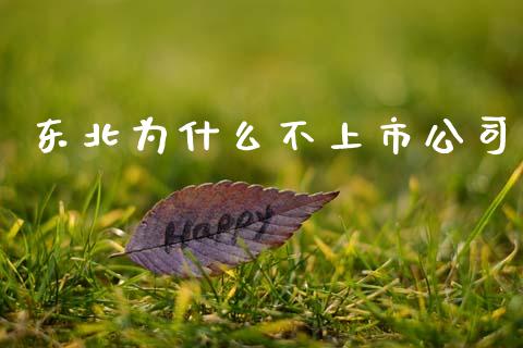 东北为什么不上市公司_https://www.gongyisiwang.com_原油期货_第1张