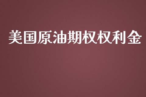美国原油期权权利金_https://www.gongyisiwang.com_焦炭期货手续费_第1张