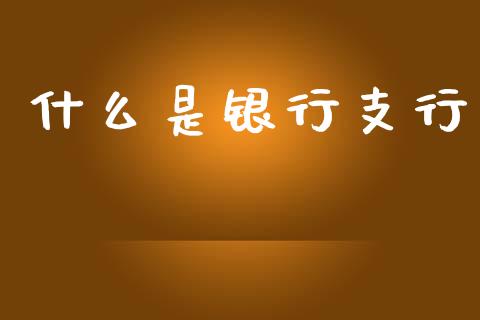 什么是银行支行_https://www.gongyisiwang.com_原油期货_第1张