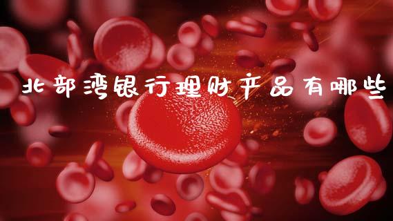 北部湾银行理财产品有哪些_https://www.gongyisiwang.com_原油期货_第1张