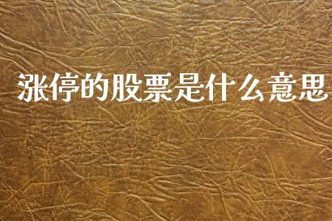 涨停的股票是什么意思_https://www.gongyisiwang.com_恒指期货_第1张