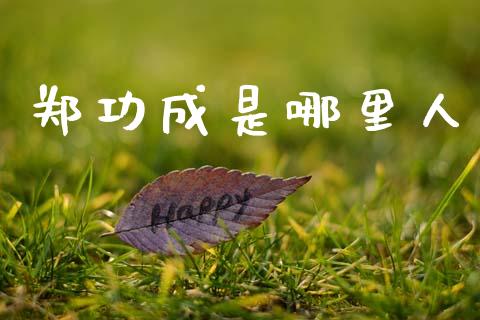 郑功成是哪里人_https://www.gongyisiwang.com_期货公司手续费排名_第1张
