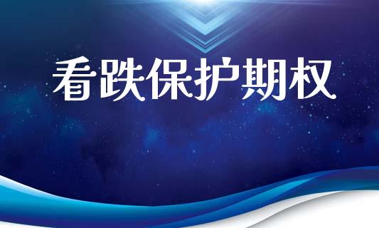 看跌保护期权_https://www.gongyisiwang.com_道指_第1张