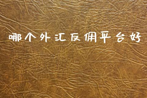 哪个外汇反佣平台好_https://www.gongyisiwang.com_期货公司手续费排名_第1张