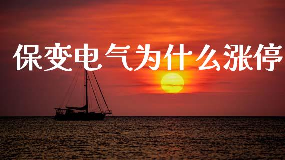 保变电气为什么涨停_https://www.gongyisiwang.com_股指期货_第1张