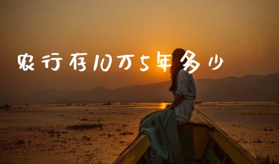 农行存10万5年多少_https://www.gongyisiwang.com_广发期货手续费_第1张