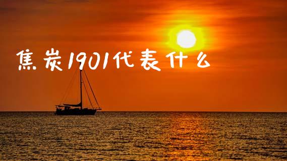 焦炭1901代表什么_https://www.gongyisiwang.com_股指期货交易手续费_第1张