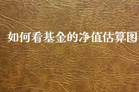 如何看基金的净值估算图_https://www.gongyisiwang.com_股指期货交易手续费_第1张