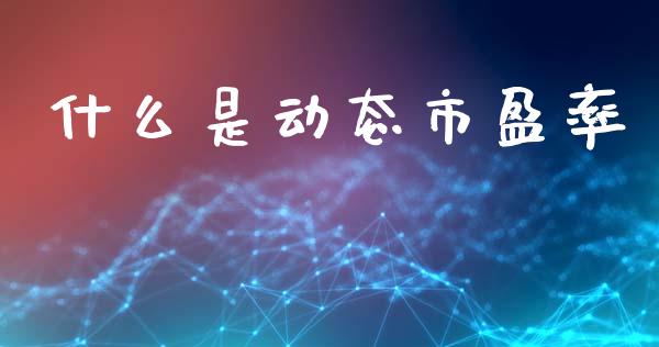 什么是动态市盈率_https://www.gongyisiwang.com_期货公司手续费排名_第1张