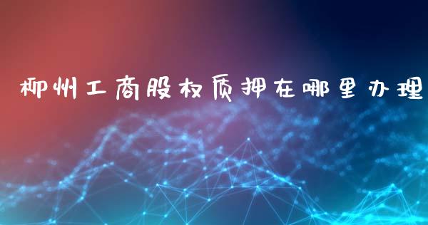 柳州工商股权质押在哪里办理_https://www.gongyisiwang.com_股指期货交易手续费_第1张