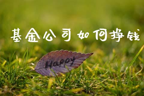 基金公司如何挣钱_https://www.gongyisiwang.com_原油期货_第1张