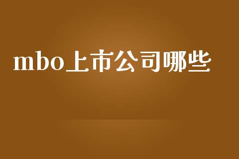 mbo上市公司哪些_https://www.gongyisiwang.com_恒指期货_第1张