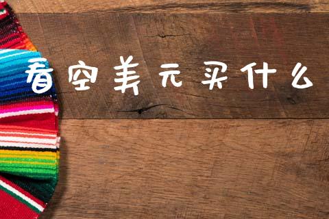 看空美元买什么_https://www.gongyisiwang.com_股指期货交易手续费_第1张