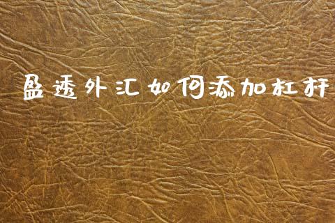 盈透外汇如何添加杠杆_https://www.gongyisiwang.com_股指期货交易手续费_第1张