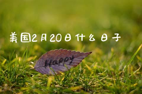 美国2月2O日什么日子_https://www.gongyisiwang.com_原油期货_第1张