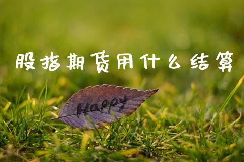股指期货用什么结算_https://www.gongyisiwang.com_焦炭期货手续费_第1张