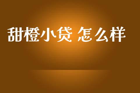甜橙小贷 怎么样_https://www.gongyisiwang.com_恒指期货_第1张
