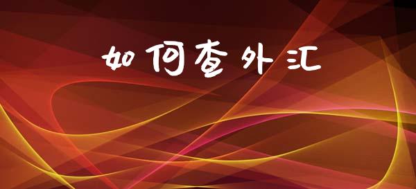 如何查外汇_https://www.gongyisiwang.com_焦炭期货手续费_第1张