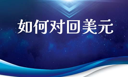 如何对回美元_https://www.gongyisiwang.com_股指期货交易手续费_第1张