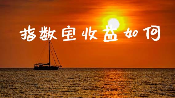 指数宝收益如何_https://www.gongyisiwang.com_期货公司手续费排名_第1张