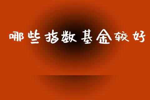 哪些指数基金较好_https://www.gongyisiwang.com_股指期货交易手续费_第1张
