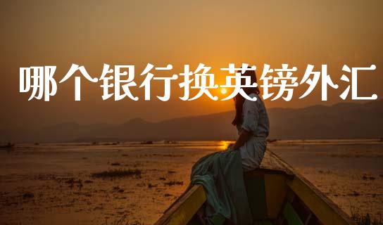 哪个银行换英镑外汇_https://www.gongyisiwang.com_道指_第1张