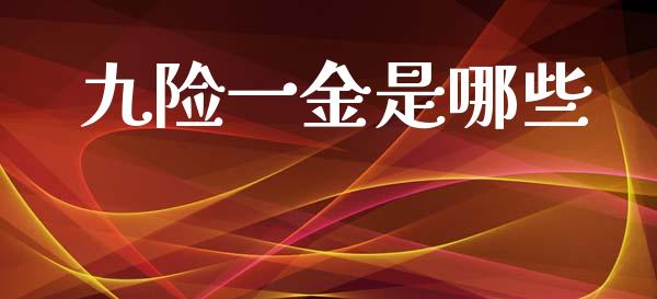 九险一金是哪些_https://www.gongyisiwang.com_股指期货_第1张