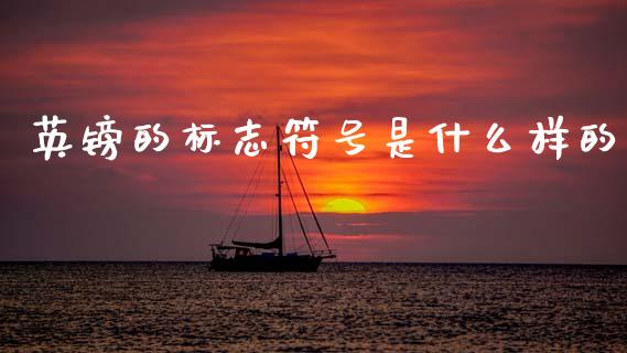英镑的标志符号是什么样的_https://www.gongyisiwang.com_股指期货交易手续费_第1张