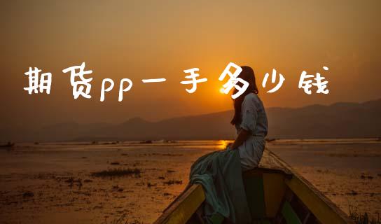 期货pp一手多少钱_https://www.gongyisiwang.com_焦炭期货手续费_第1张