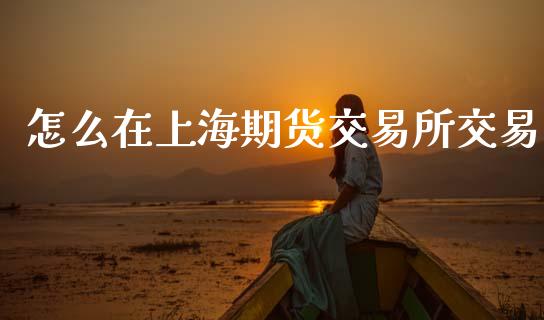 怎么在上海期货交易所交易_https://www.gongyisiwang.com_期货公司手续费排名_第1张