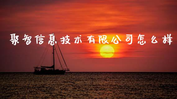 聚智信息技术有限公司怎么样_https://www.gongyisiwang.com_道指_第1张
