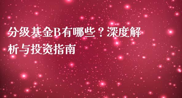 分级基金B有哪些？深度解析与投资指南_https://www.gongyisiwang.com_恒指期货_第1张
