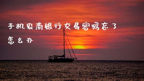 手机农商银行交易密码忘了怎么办_https://www.gongyisiwang.com_股指期货交易手续费_第1张