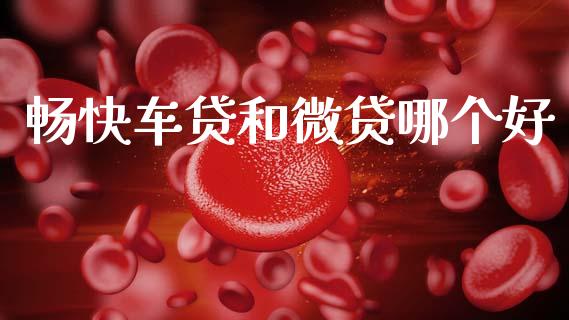 畅快车贷和微贷哪个好_https://www.gongyisiwang.com_道指_第1张