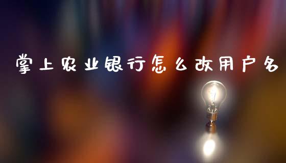 掌上农业银行怎么改用户名_https://www.gongyisiwang.com_恒指期货_第1张