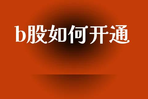 b股如何开通_https://www.gongyisiwang.com_原油期货_第1张