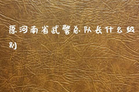 原河南省武警总队长什么级别_https://www.gongyisiwang.com_原油期货_第1张