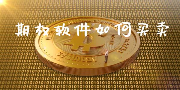期权软件如何买卖_https://www.gongyisiwang.com_股指期货交易手续费_第1张