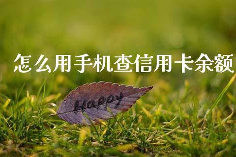 怎么用手机查信用卡余额_https://www.gongyisiwang.com_股指期货_第1张