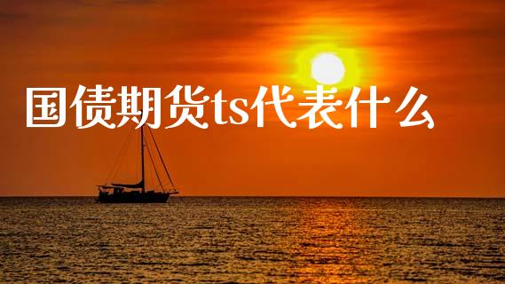 国债期货ts代表什么_https://www.gongyisiwang.com_原油期货_第1张