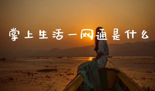 掌上生活一网通是什么_https://www.gongyisiwang.com_期货公司手续费排名_第1张